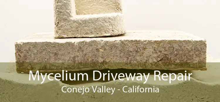 Mycelium Driveway Repair Conejo Valley - California