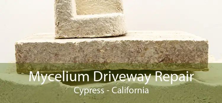 Mycelium Driveway Repair Cypress - California