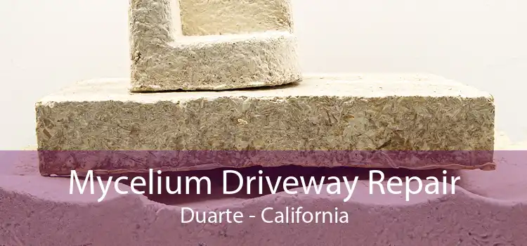 Mycelium Driveway Repair Duarte - California