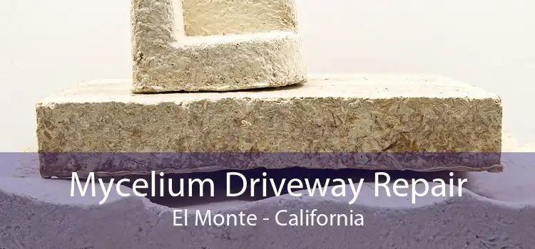 Mycelium Driveway Repair El Monte - California