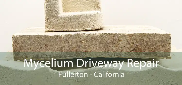 Mycelium Driveway Repair Fullerton - California