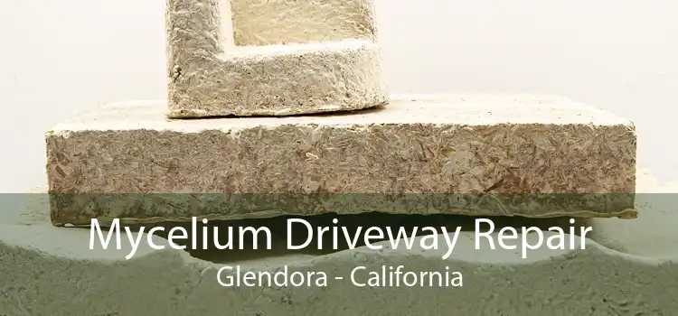 Mycelium Driveway Repair Glendora - California