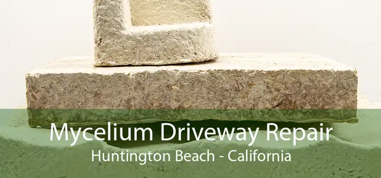 Mycelium Driveway Repair Huntington Beach - California