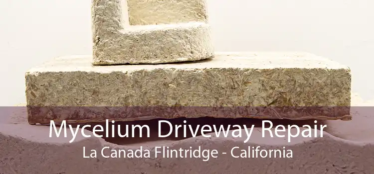 Mycelium Driveway Repair La Canada Flintridge - California