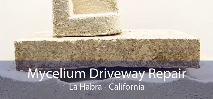 Mycelium Driveway Repair La Habra - California