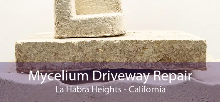 Mycelium Driveway Repair La Habra Heights - California