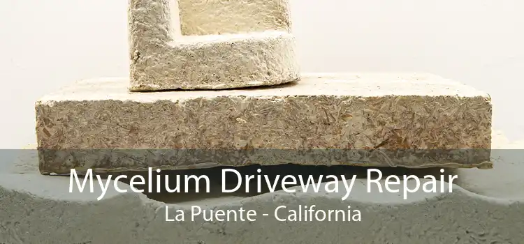 Mycelium Driveway Repair La Puente - California