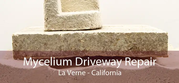 Mycelium Driveway Repair La Verne - California