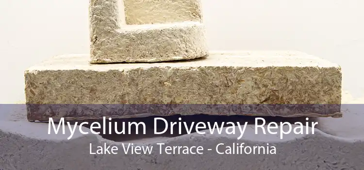 Mycelium Driveway Repair Lake View Terrace - California