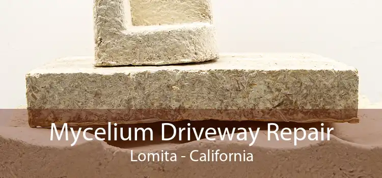 Mycelium Driveway Repair Lomita - California