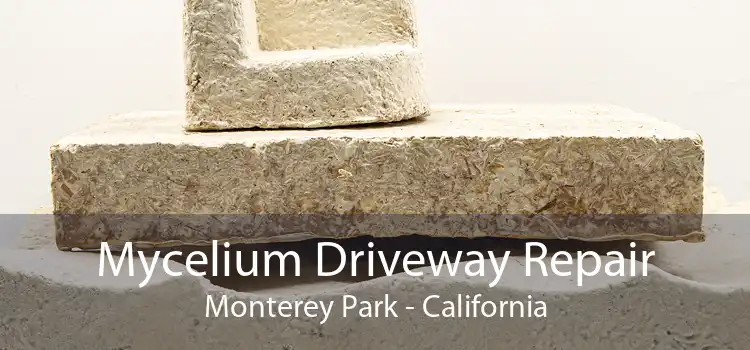 Mycelium Driveway Repair Monterey Park - California