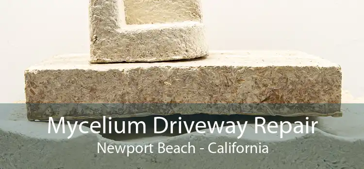 Mycelium Driveway Repair Newport Beach - California