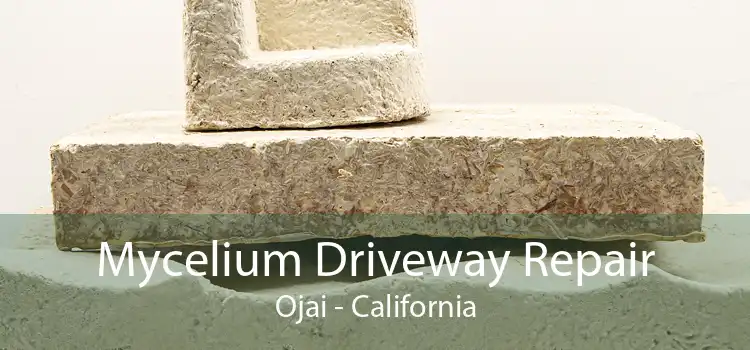 Mycelium Driveway Repair Ojai - California