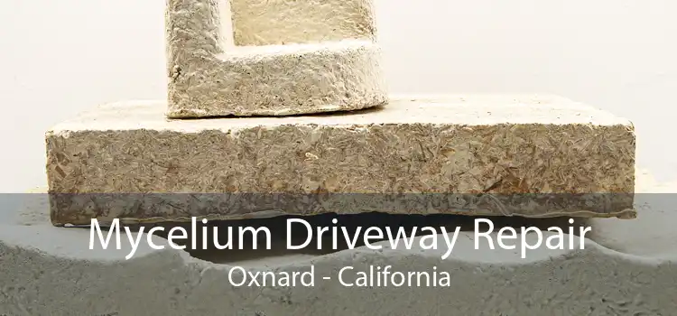 Mycelium Driveway Repair Oxnard - California