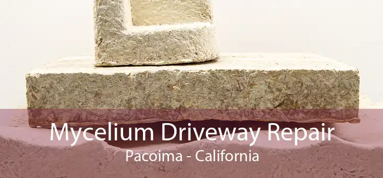 Mycelium Driveway Repair Pacoima - California