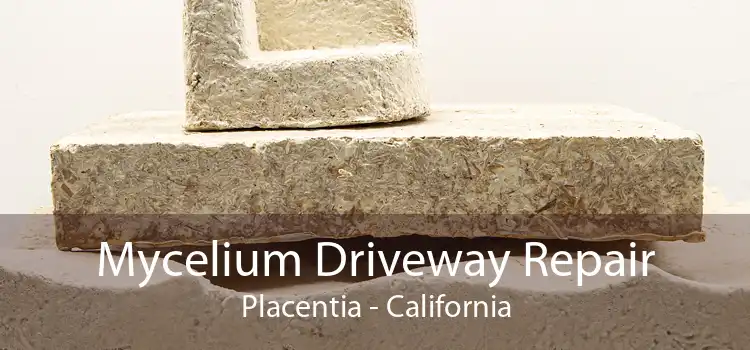 Mycelium Driveway Repair Placentia - California