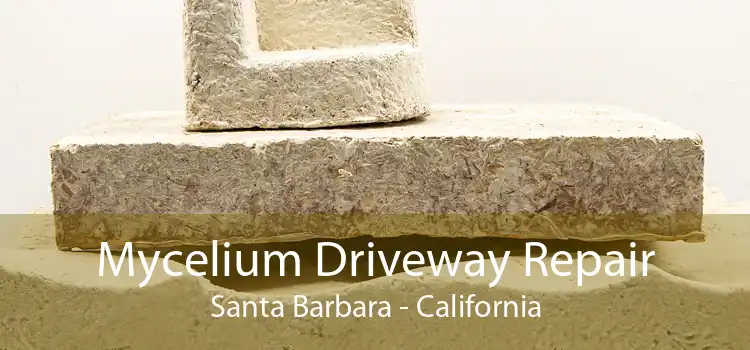 Mycelium Driveway Repair Santa Barbara - California