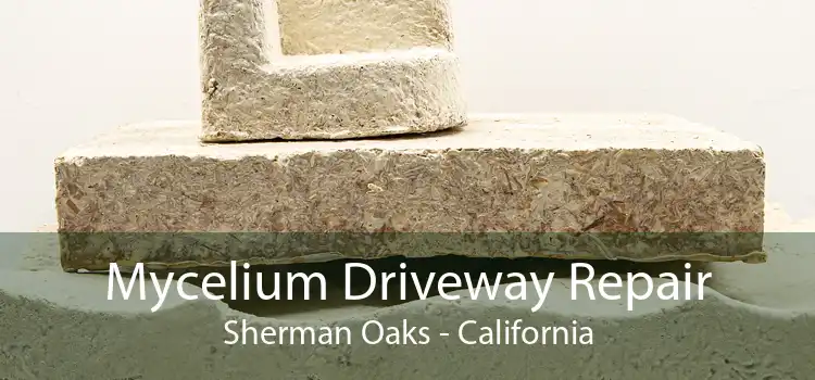 Mycelium Driveway Repair Sherman Oaks - California