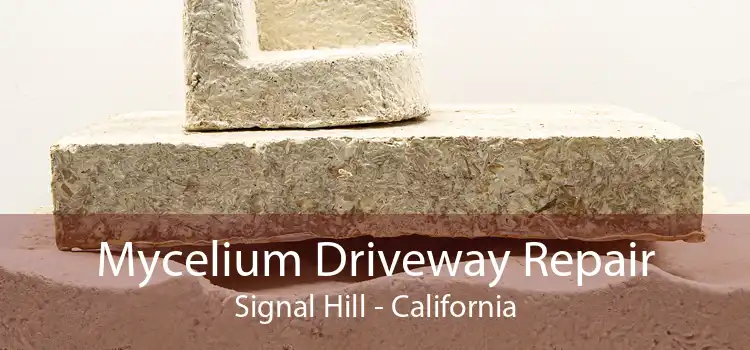 Mycelium Driveway Repair Signal Hill - California