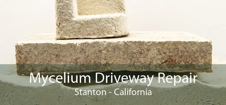 Mycelium Driveway Repair Stanton - California