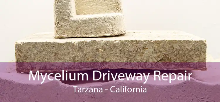 Mycelium Driveway Repair Tarzana - California