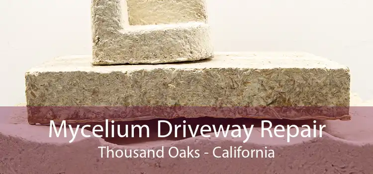 Mycelium Driveway Repair Thousand Oaks - California