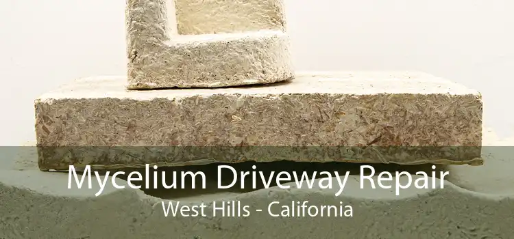 Mycelium Driveway Repair West Hills - California