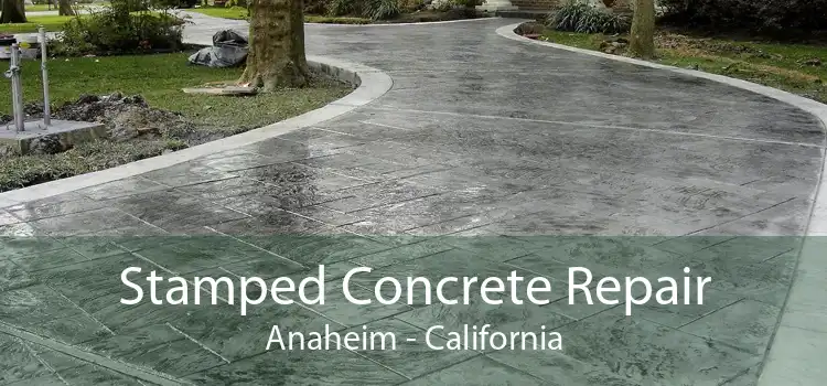 Stamped Concrete Repair Anaheim - California