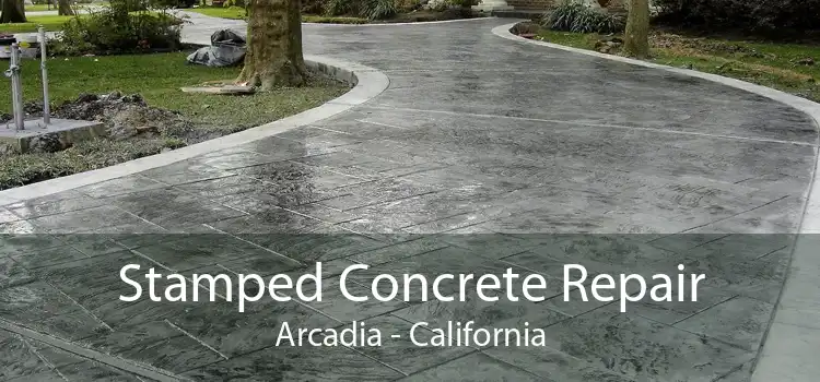 Stamped Concrete Repair Arcadia - California