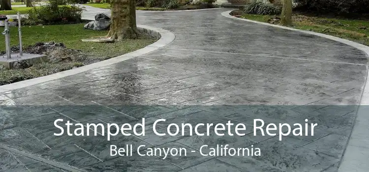 Stamped Concrete Repair Bell Canyon - California