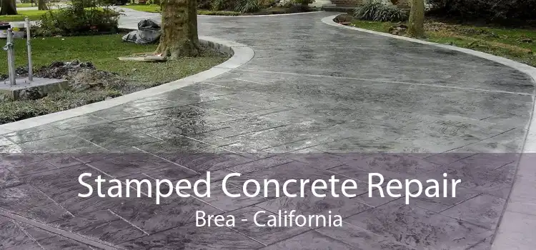 Stamped Concrete Repair Brea - California