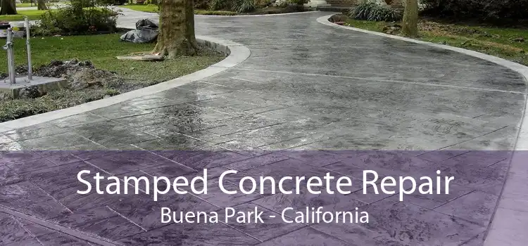 Stamped Concrete Repair Buena Park - California