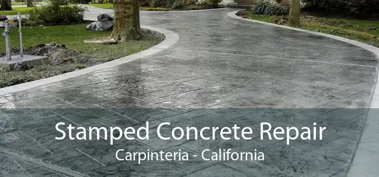 Stamped Concrete Repair Carpinteria - California