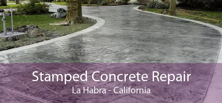 Stamped Concrete Repair La Habra - California