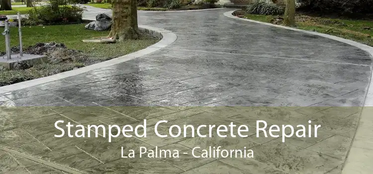 Stamped Concrete Repair La Palma - California