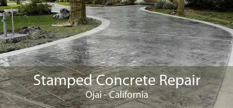 Stamped Concrete Repair Ojai - California