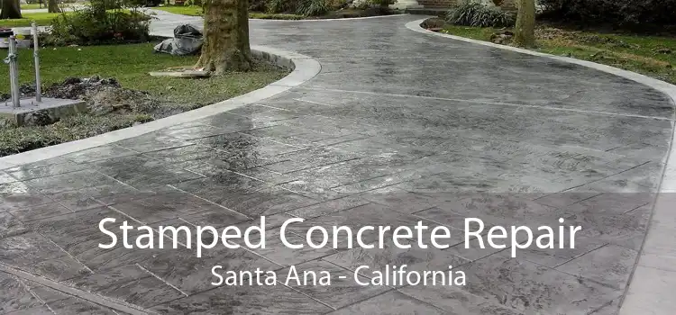 Stamped Concrete Repair Santa Ana - California