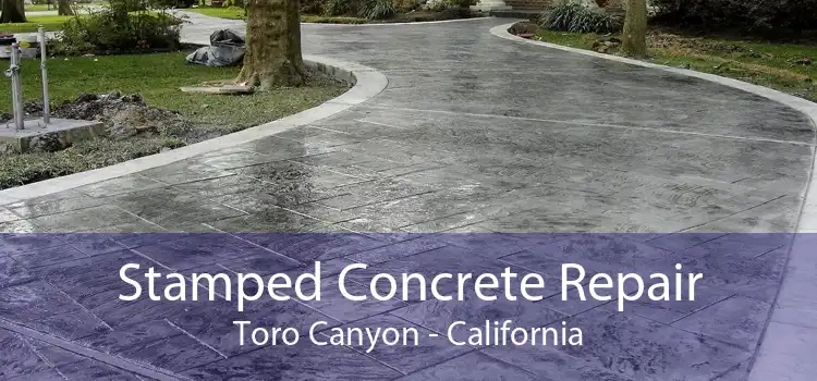 Stamped Concrete Repair Toro Canyon - California