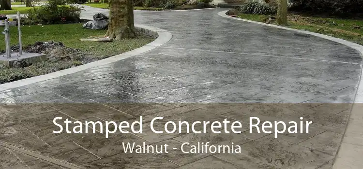 Stamped Concrete Repair Walnut - California