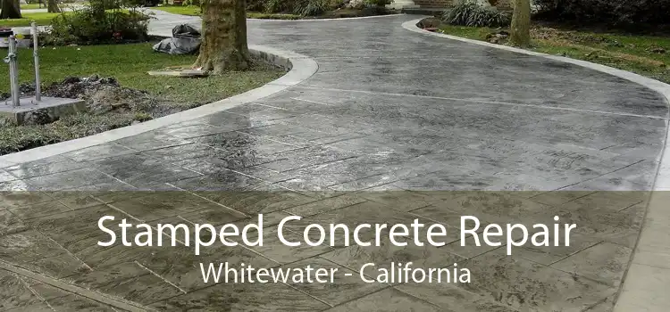 Stamped Concrete Repair Whitewater - California